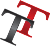 Twin Termite logo